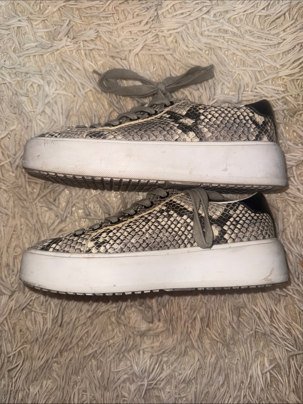 Greats Brooklyn Snakeskin Print Platform Sneakers - 6 - Picture 7 of 8